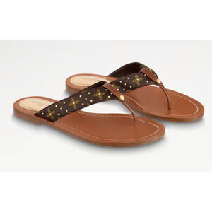 Louis Vuitton Monogram Canvas Sunny Flat Thong Sandals Cacao Brown Women's 40